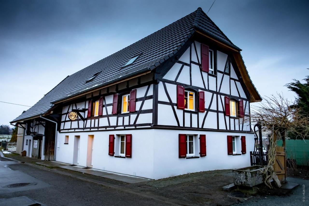 Gite Les Sabots De Paille, Alsace Haut-Rhin Ballesdorf 외부 사진