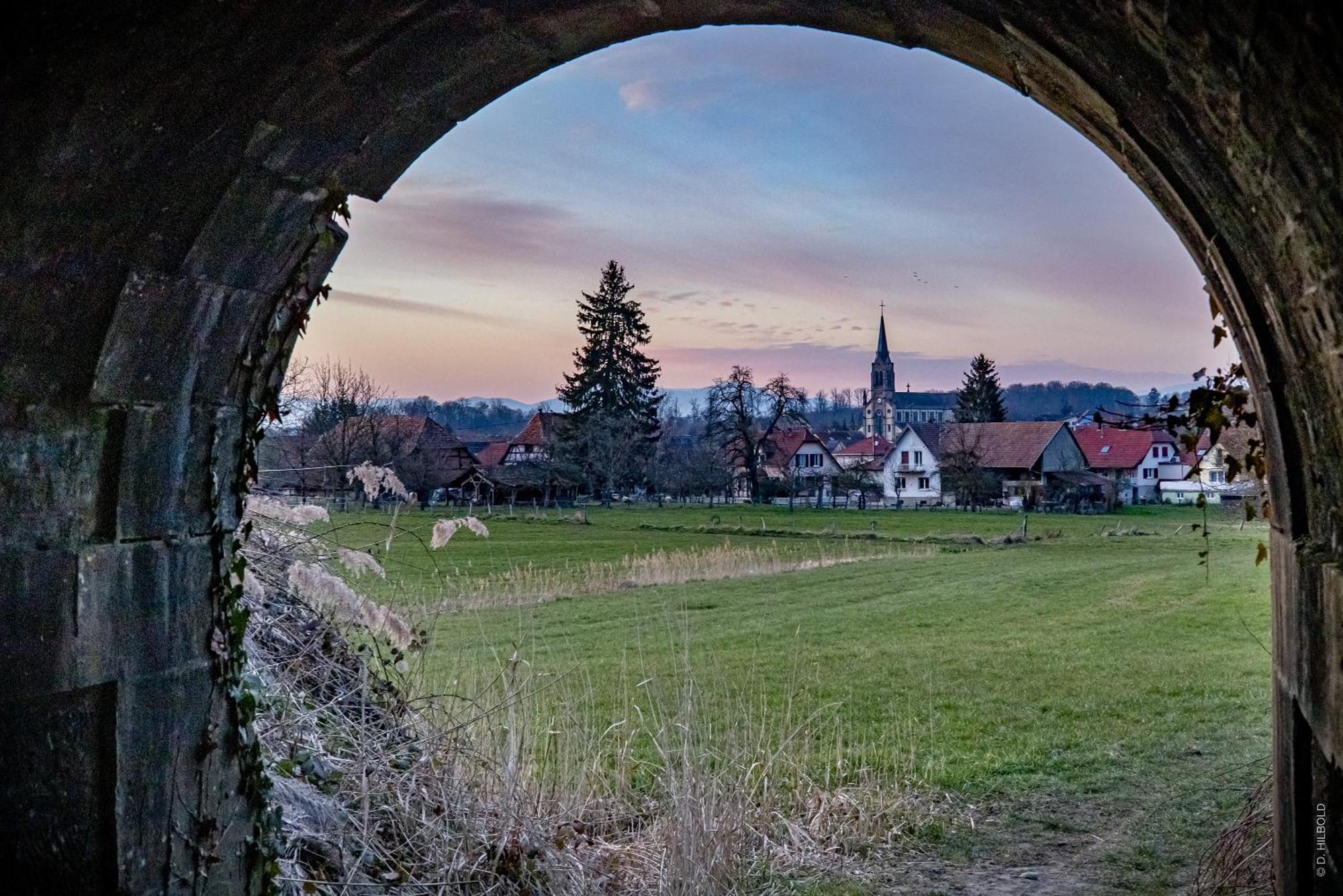 Gite Les Sabots De Paille, Alsace Haut-Rhin Ballesdorf 외부 사진